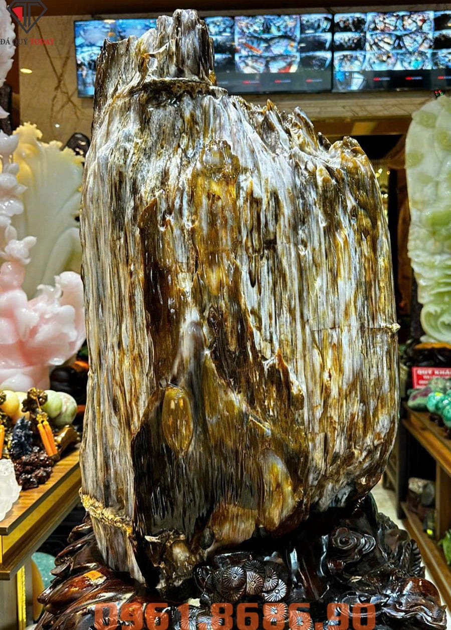 Gỗ hóa thạch 146.8kg