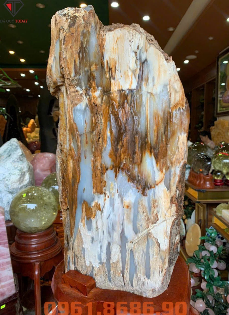 Gỗ hóa thạch 30.6kg