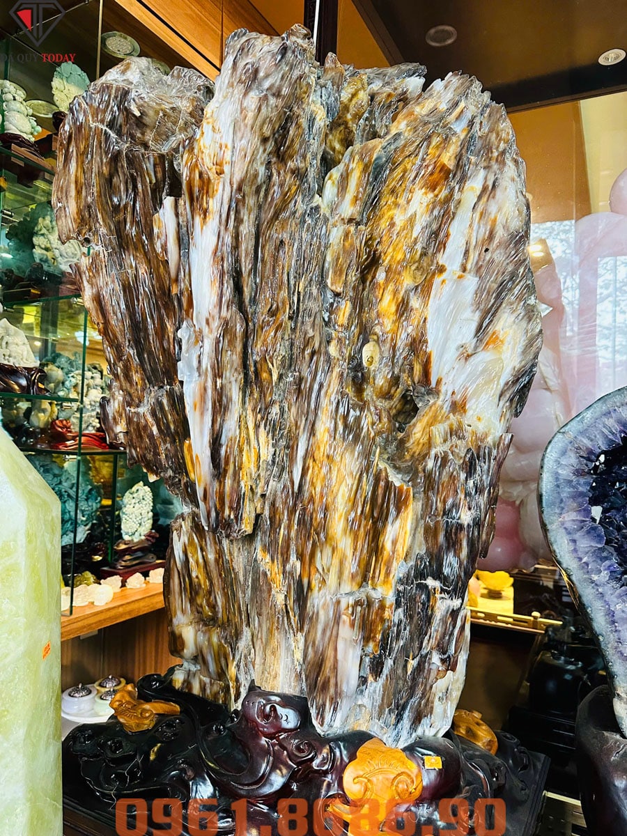 Gỗ hóa thạch 310kg