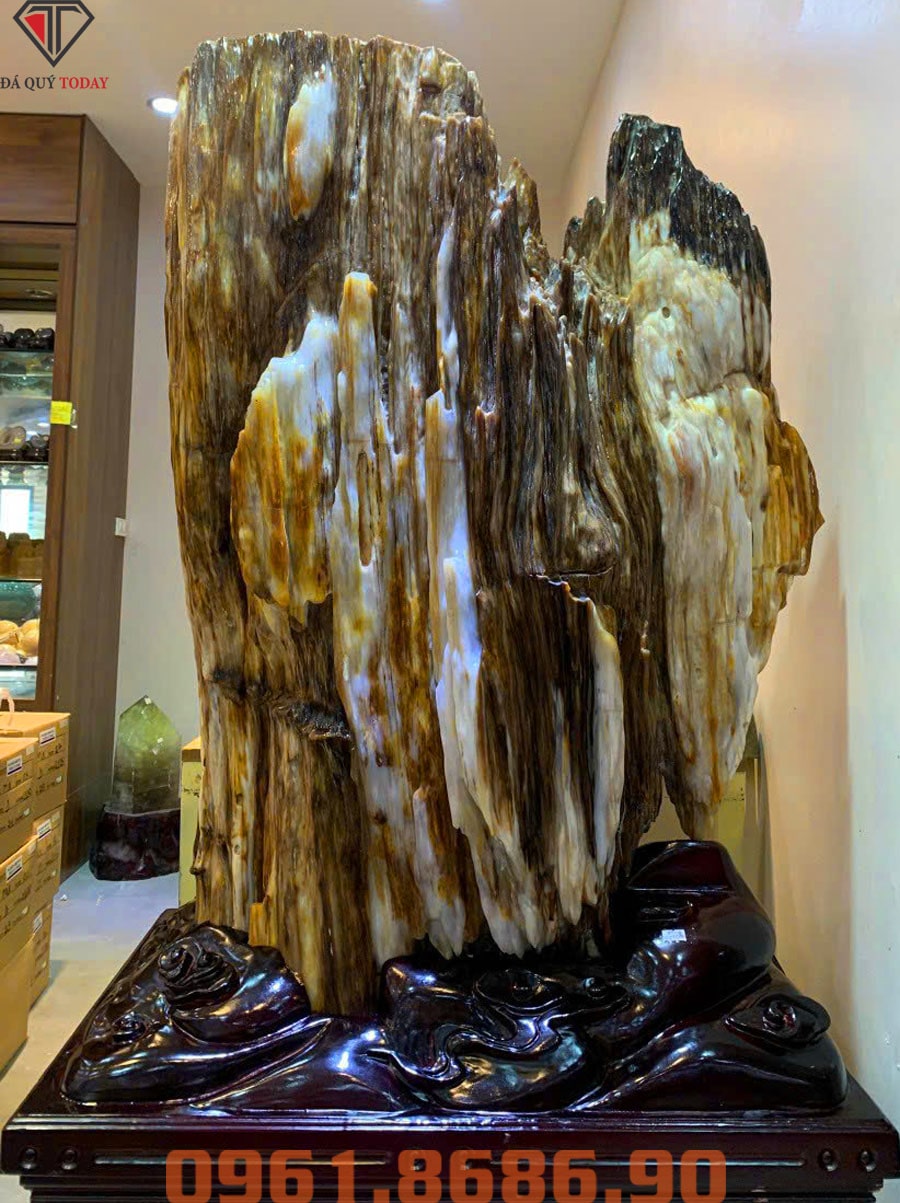 Gỗ hóa thạch 373kg